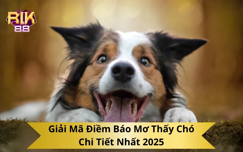 Giải Mã Điềm Báo Mơ Thấy Chó Chi Tiết Nhất 2025