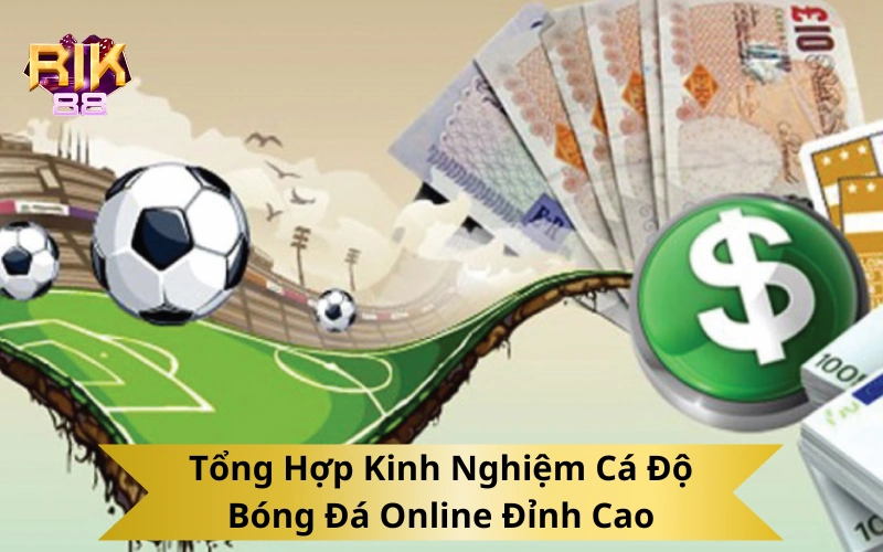 Tổng Hợp Kinh Nghiệm Cá Độ Bóng Đá Online Đỉnh Cao