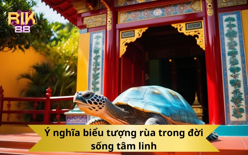 Ý nghĩa biểu tượng rùa trong đời sống tâm linh